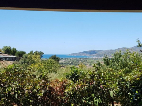 Отель Zefiro Casa Vacanze  Ашеа